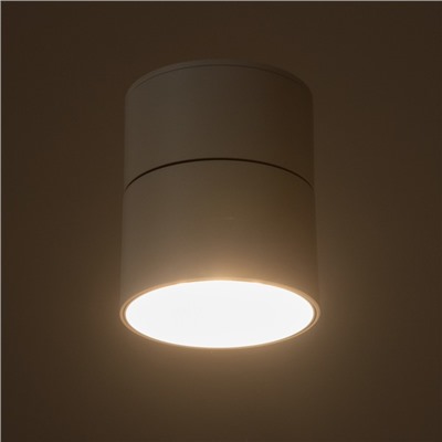 Светильник «Орео» LED 20 Вт 4000К DTW белый 10×10×10.5 см