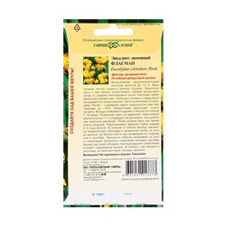 Семена комнатных цветов Эвкалипт "Флагман", ц/п,  0,05 г
