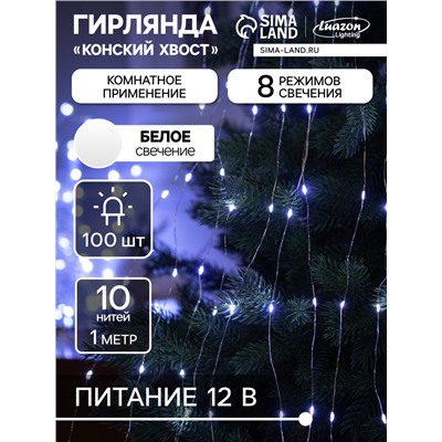 Гирлянда «Конский хвост» 10 нитей по 1 м, IP20, серебристая нить, 100 LED, свечение белое, 8 режимов, 12 В