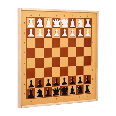 Шахматы демонстрационные, магнитные, 73×73 см