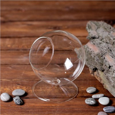 Флорариум «Натурель», сфера, 14×11 см, d=7.7 см