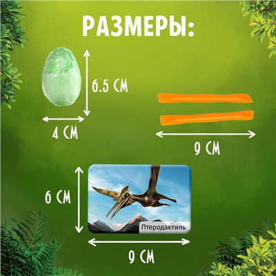 Раскопки «Эпоха динозавров»
