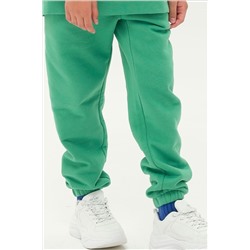 Брюки PELICAN, 799846