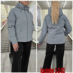 Куртка осень 1983628-4