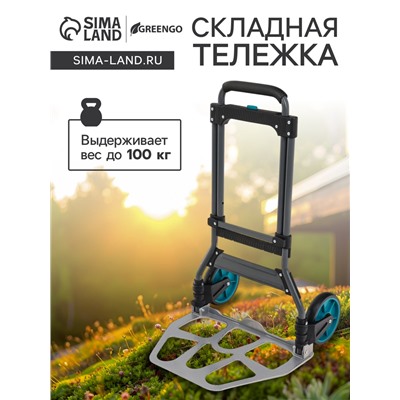Тележка ручная хозяйственная, двухколёсная, нагрузка до 100 кг, складная, грузовая, Greengo
