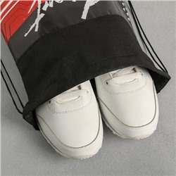 Мешок для обуви, Sport, (нетканый материал) 41×30 см