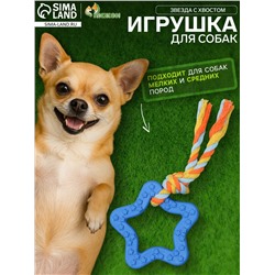 Игрушка жевательная с канатом «Звезда с хвостом», синяя