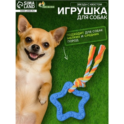 Игрушка жевательная с канатом «Звезда с хвостом», синяя