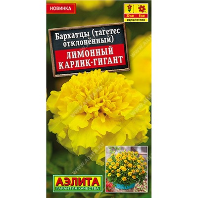 Бархатцы Лимонный Карлик-гигант (Код: 93528)