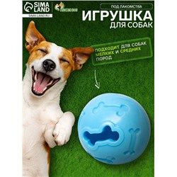 Мяч под лакомства, утолщённый TPR, 7 см, голубой