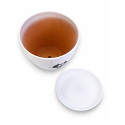 Горшок для цветов «Котофей», 8 л, d=29.5 см, h=23 см, керамика, с поддоном, белый