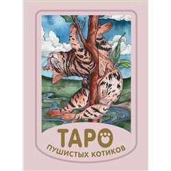 АСТ Кэти Брамс "Мини Таро пушистых котиков. Уютная магия точных предсказаний"
