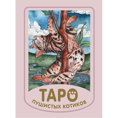 АСТ Кэти Брамс "Мини Таро пушистых котиков. Уютная магия точных предсказаний"