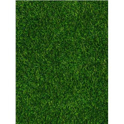 Газон искусственный, с проклейкой, ворс 3 см, 2×25 м, зелёный, Greengo