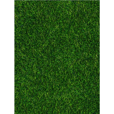 Газон искусственный, с проклейкой, ворс 3 см, 2×25 м, зелёный, Greengo