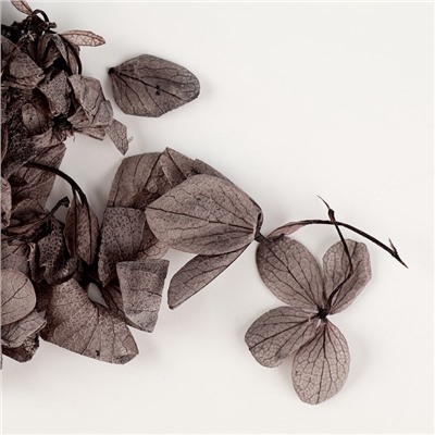 Свеча своими руками. Создание свечи «Черная гортензия», набор для творчества