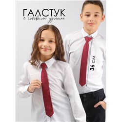 Соль&Перец Галстук SP304A