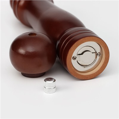 Мельница для специй Доляна, 25×4.5 см, металлический механизм, коричневая