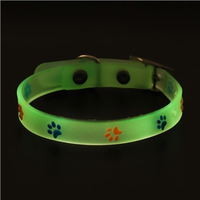 Ошейник «Яркие следы», 30×1 с, светящийся в темноте, люминесцентный, белый