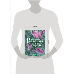 АСТ Пескова И.М. "Растения в городе"