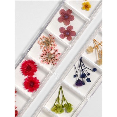 Сухоцветы для декора «Ассорти», объёмные, 12 видов, в футляре, разноцветные