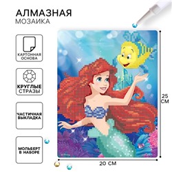 Алмазная мозаика с частичным заполнением для детей «Принцессы», 20×25 см