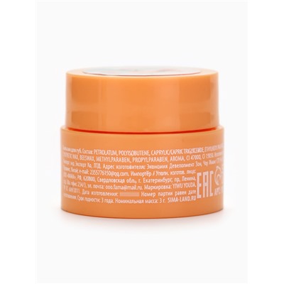 Бальзамы для губ, набор 4 шт. × 3 г, URAL LAB