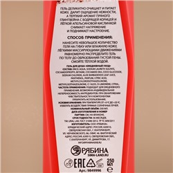 Гель для душа, 250 мл, аромат пряного глинтвейна, URAL LAB