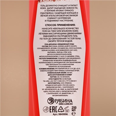 Гель для душа, 250 мл, аромат пряного глинтвейна, URAL LAB