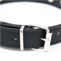 Ошейник «Лион» с шипами, 45×2 см, ОШ 34-40 см, искусственная кожа, чёрный