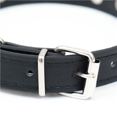 Ошейник «Лион» с шипами, 45×2 см, ОШ 34-40 см, искусственная кожа, чёрный