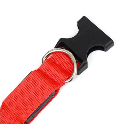 Ошейник с подсветкой Двойная полоса размер XL, ОШ 52-60×2.5 см, 3 режима свечения красный