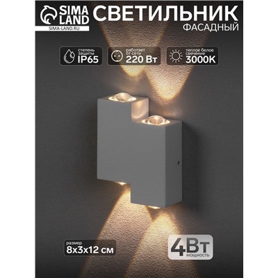 Светильник фасадный «Луч», 4 Вт, 3000К, 2 луча, IP65, 220 В, металлический корпус, белый, свечение тёплое белое