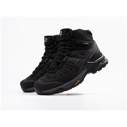 Зимние Ботинки Salomon Quest 4 GTX