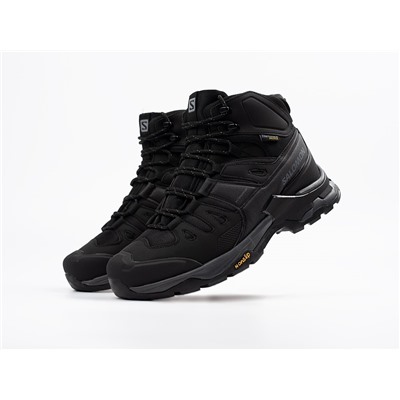 Зимние Ботинки Salomon Quest 4 GTX