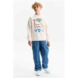 Толстовка для мальчиков PELICAN, 1236462