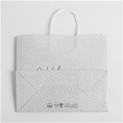 Пакет подарочный новогодний крафт «Чудесный праздник», 25×22×12 см