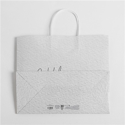 Пакет подарочный новогодний крафт «Чудесный праздник», 25×22×12 см