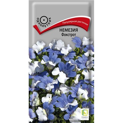 Немезия Фокстрот сине-белая (П)