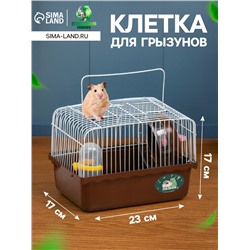 Клетка для грызунов «Пижон», 23×17×17 см, коричневая