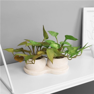 Искусственный цветок в горшке «Сингониум элит» (мягкий лист), двойной, 12×14 см