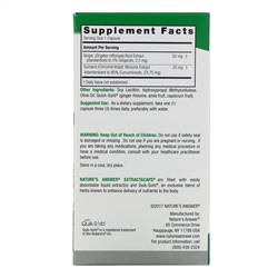 Nature's Answer, Turmeric & Ginger, 90 Vegetarian Capsules