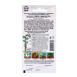 Семена Огурец «Пять звезд F1», ультраранний, партенокарпический, 10 шт.