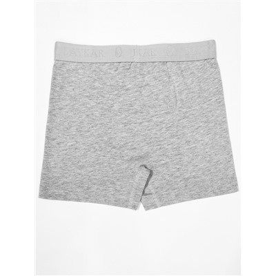 3310-20 Боксеры для мальчика серые (BAYKAR)