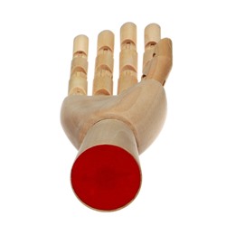 Модель деревянная Calligrata «Рука детская правая» 18 см