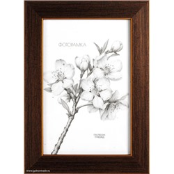 Фоторамка 15x21 / KS1912-1 /уп10