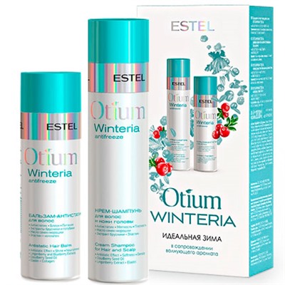 ESTEL OTIUM WINTERIA Набор №2 450 мл