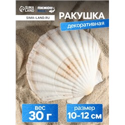 Ракушка декоративная Гребешок, 10-12 см