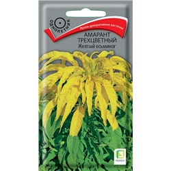 Амарант Желтый осьминог (Код: 91540)