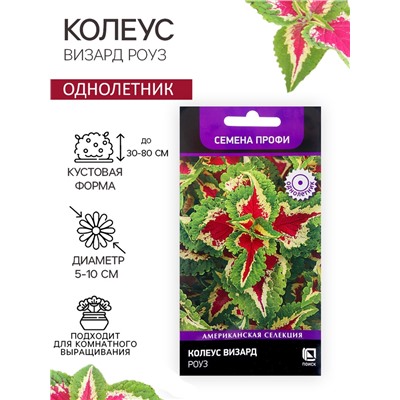 Семена цветов Колеус Визард Роуз, 10шт